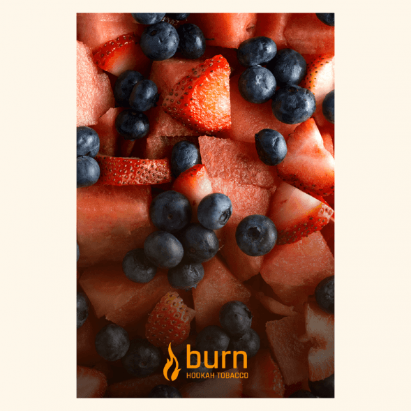 Табак Burn - Berried Treasure (Ягодный Микс, 100 грамм) купить в Краснодаре