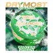 Табак жевательный DryMost - Winter Green (12 грамм) купить в Краснодаре