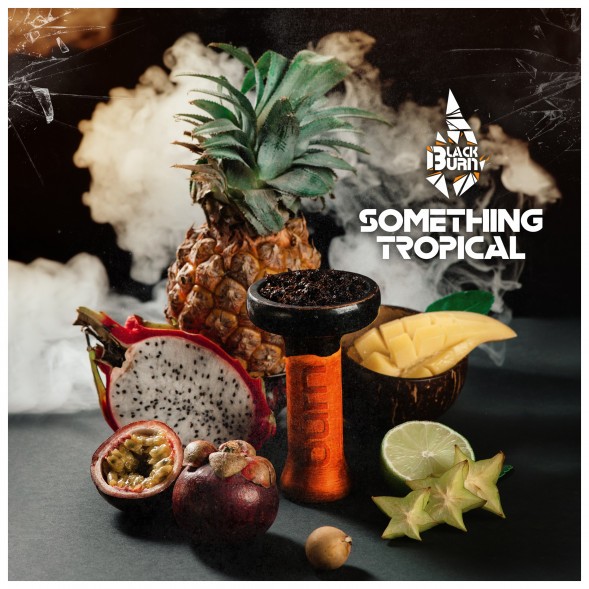 Табак BlackBurn - Something Tropical (Что-то Тропическое, 25 грамм) купить в Краснодаре