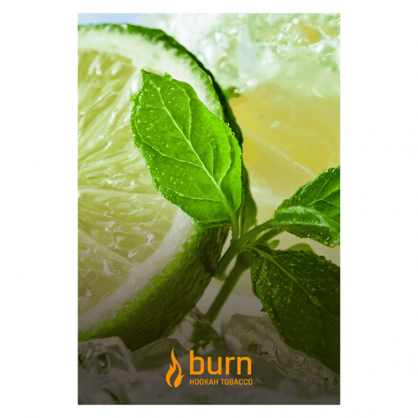 Табак Burn - Lemon Mint (Лимон с Мятой, 100 грамм) купить в Краснодаре