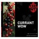 Табак Jent - Currant WOW (Кислая Смородина, 25 грамм) купить в Краснодаре