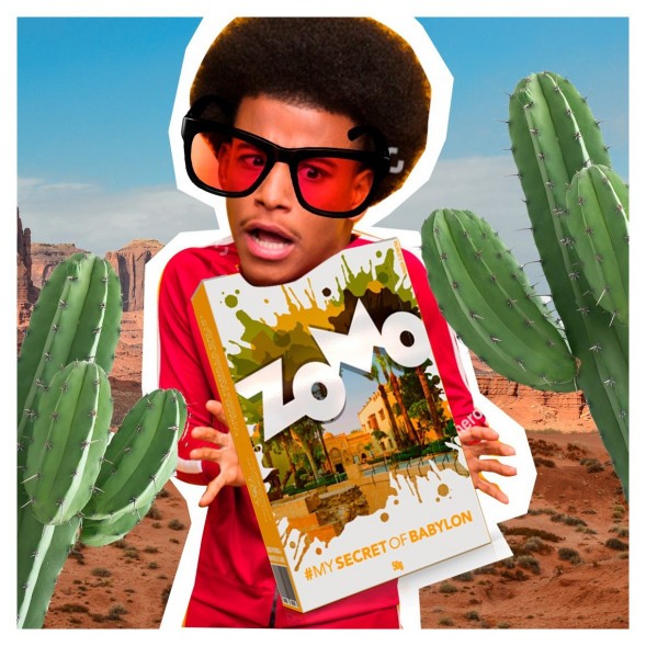 Табак Zomo - Secret Babylon (Сикрет Бабилон, 50 грамм) купить в Краснодаре