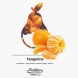 Табак MattPear - Tangerine (Мандарин, 50 грамм) купить в Краснодаре