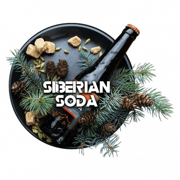 Табак BlackBurn - Siberian Soda (Лимонад Байкал, 25 грамм) купить в Краснодаре