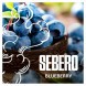 Табак Sebero - Blueberry (Голубика, 100 грамм) купить в Краснодаре