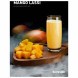 Табак DarkSide Core - MANGO LASSI (Манговый коктейль, 100 грамм) купить в Краснодаре