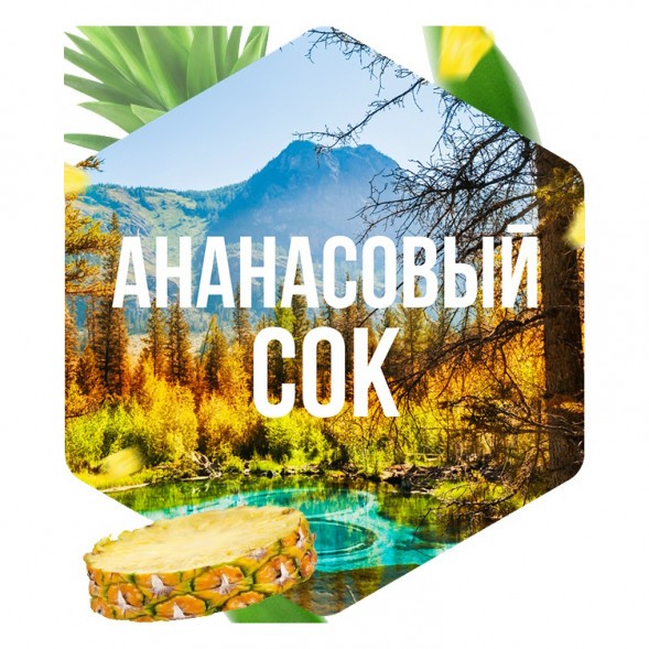 Табак Сарма - Ананасовый Сок (25 грамм) купить в Краснодаре
