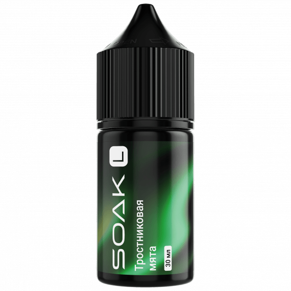 Жидкость SOAK L30 - Cane Mint (Тростниковая Мята, 30 мл, 2 мг) купить в Краснодаре