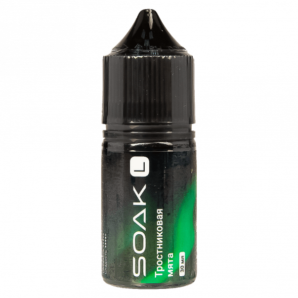 Жидкость SOAK L30 - Cane Mint (Тростниковая Мята, 30 мл, 2 мг) купить в Краснодаре