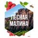 Табак Сарма - Лесная Малина (100 грамм) купить в Краснодаре