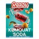 Табак Ready - №3 Kumquat Soda (Газировка, Кумкват, 25 грамм) купить в Краснодаре
