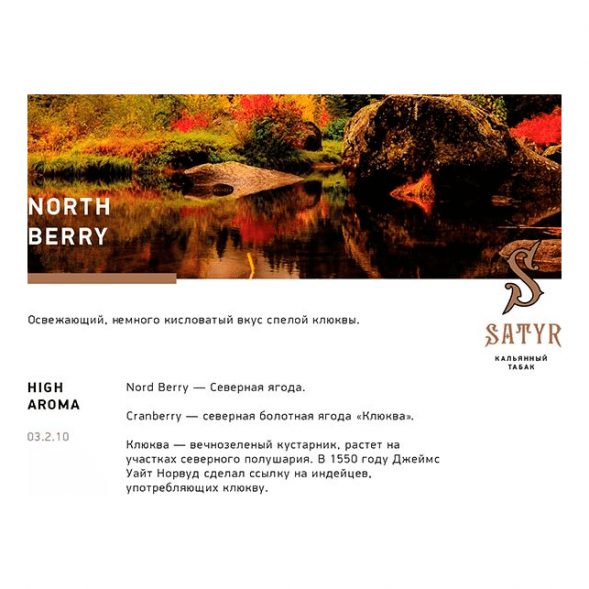 Табак Satyr - North Berry (Северная Ягода, 25 грамм) купить в Краснодаре