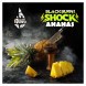 Табак BlackBurn - Ananas Shock (Кислый Ананас, 25 грамм) купить в Краснодаре