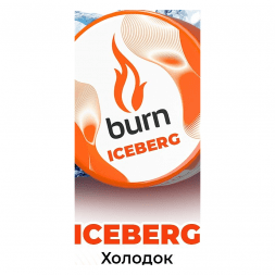 Табак Burn - Iceberg (Холодок, 25 грамм)