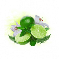 Табак Krass Black - Memorial Lime (Запоминающийся Лайм, 100 грамм) — 